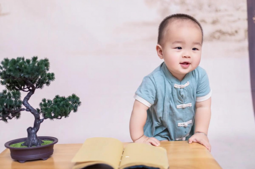 中国台湾可爱的企鹅宝宝